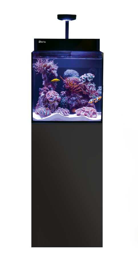 REEFER MAX NANO